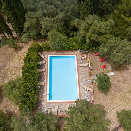 Villa I Tigli Campiglia Marittima Esterno foto
