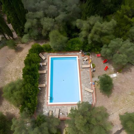 Villa I Tigli Campiglia Marittima Esterno foto