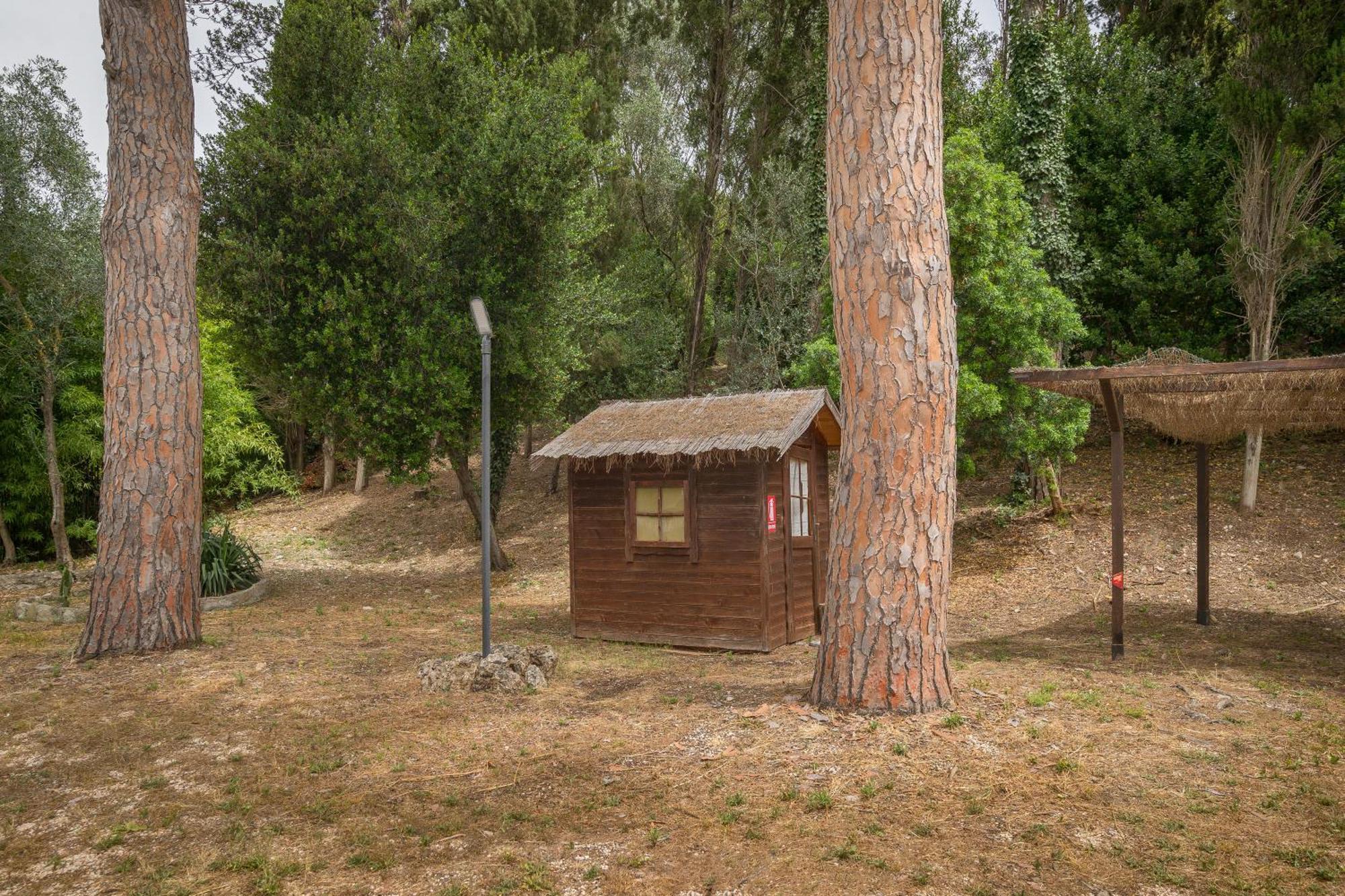 Villa I Tigli Campiglia Marittima Esterno foto