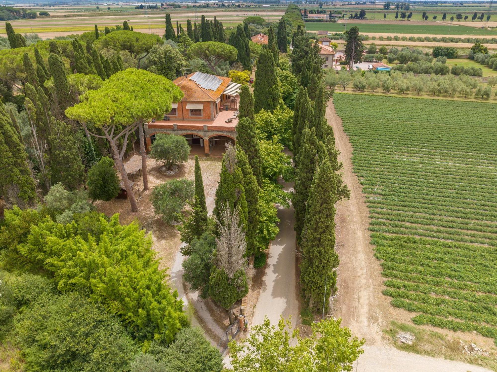 Villa I Tigli Campiglia Marittima Esterno foto