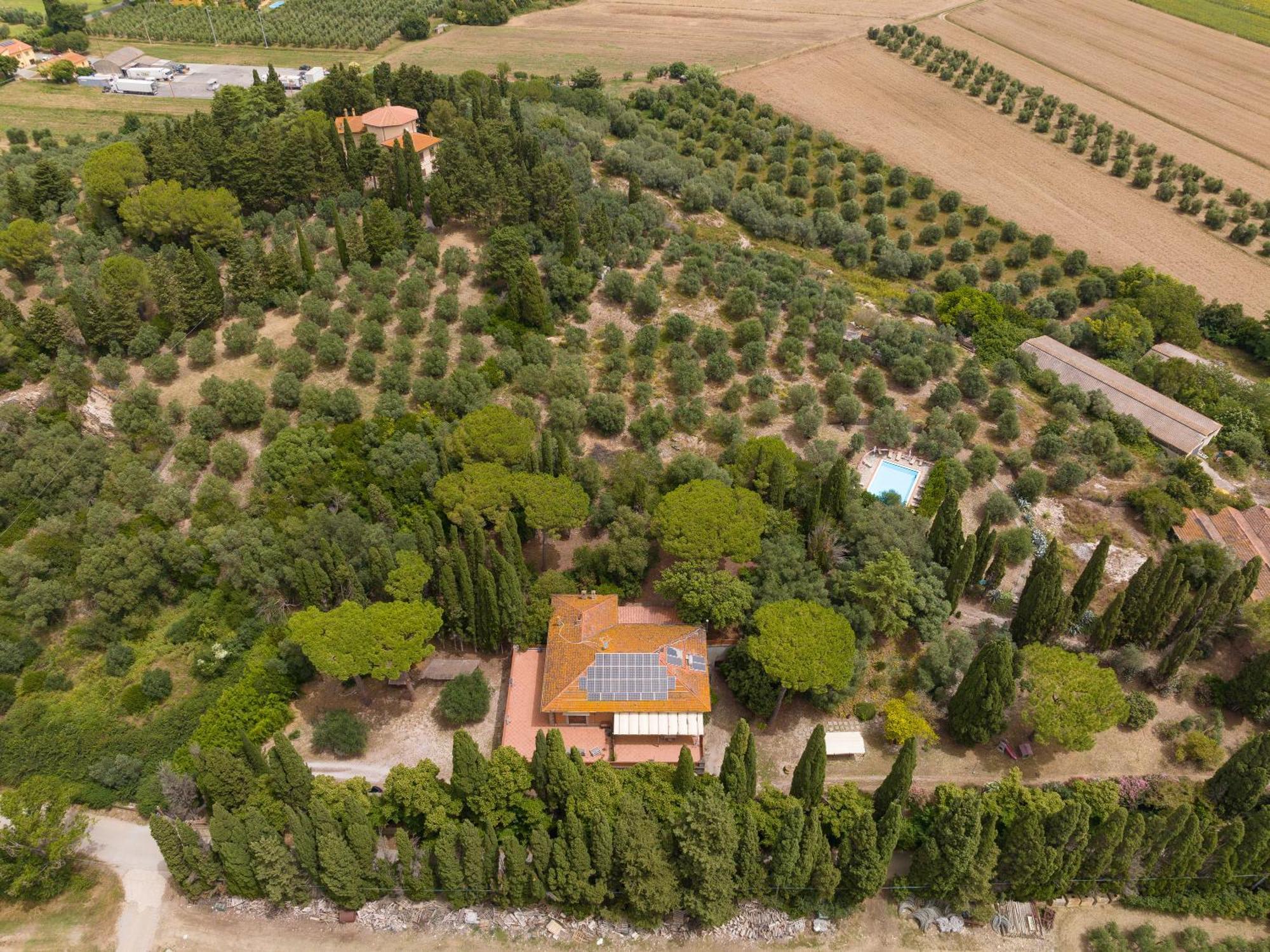 Villa I Tigli Campiglia Marittima Esterno foto
