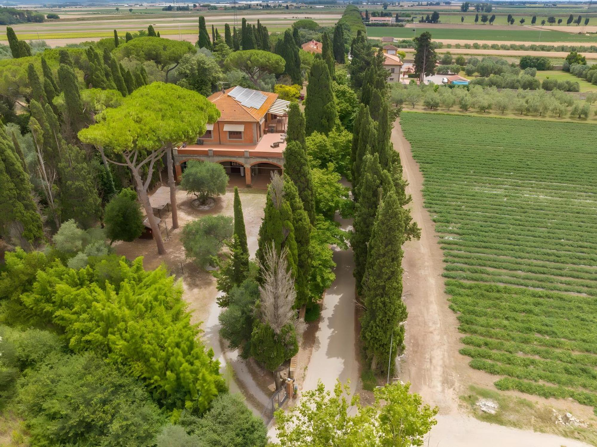 Villa I Tigli Campiglia Marittima Esterno foto